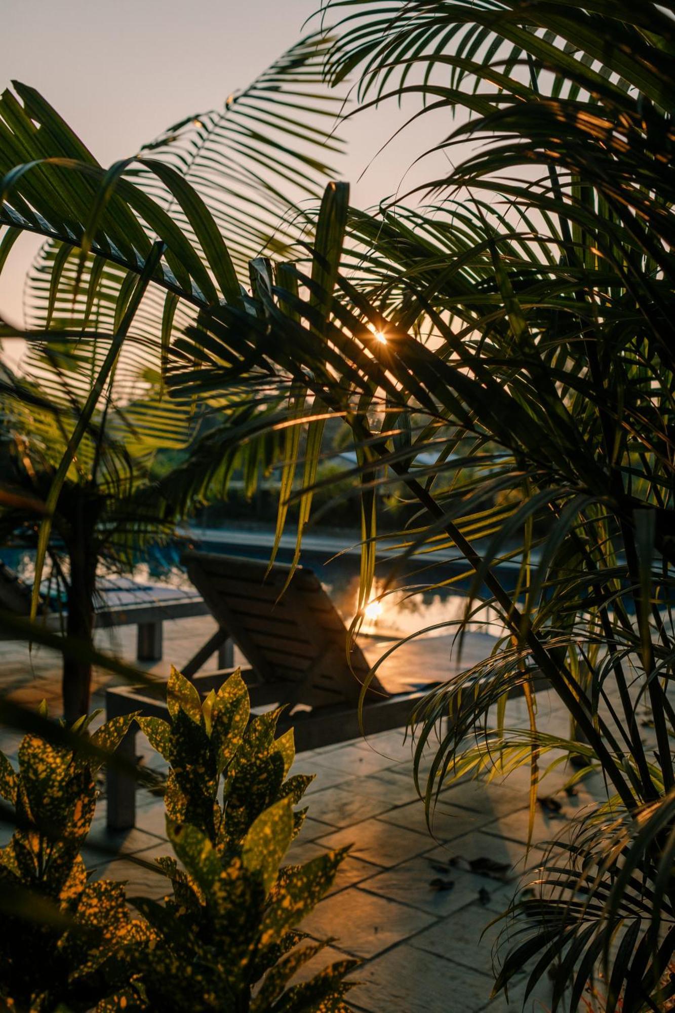 Hotel Parkside & Swimming Pool-Between Greenery And Azure ,Your Perfect Retreat Chitwan Exterior foto